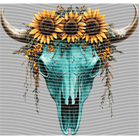 Country music-CU 1213